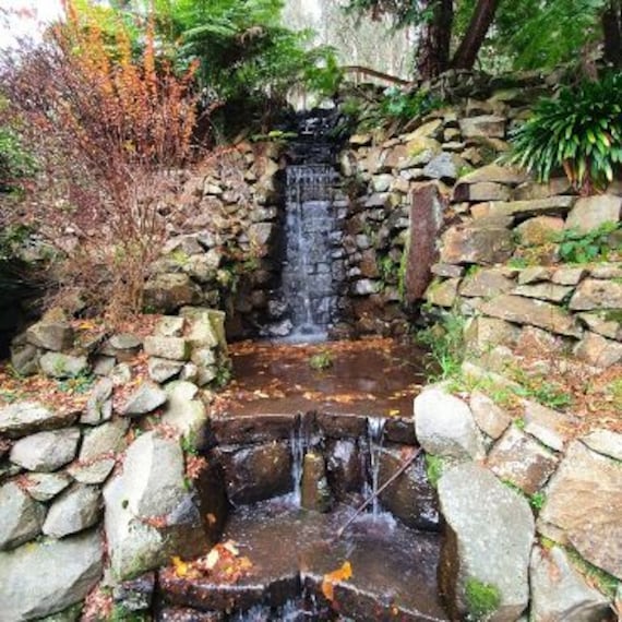 Alfred Nicholas Memorial Garden-3